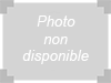 STYLET AVEC DRAGONNE - PACK DE 5 STYLETS POUR ZEBRA MC32 GUN